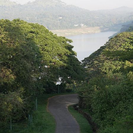 Villa Tee Four Digana Dış mekan fotoğraf
