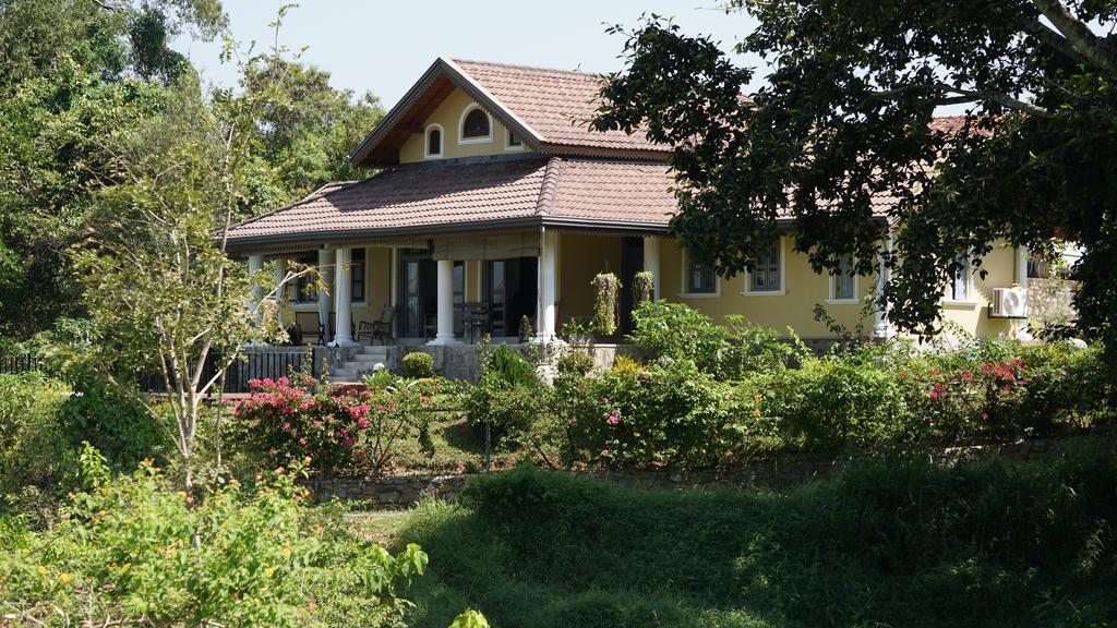 Villa Tee Four Digana Dış mekan fotoğraf